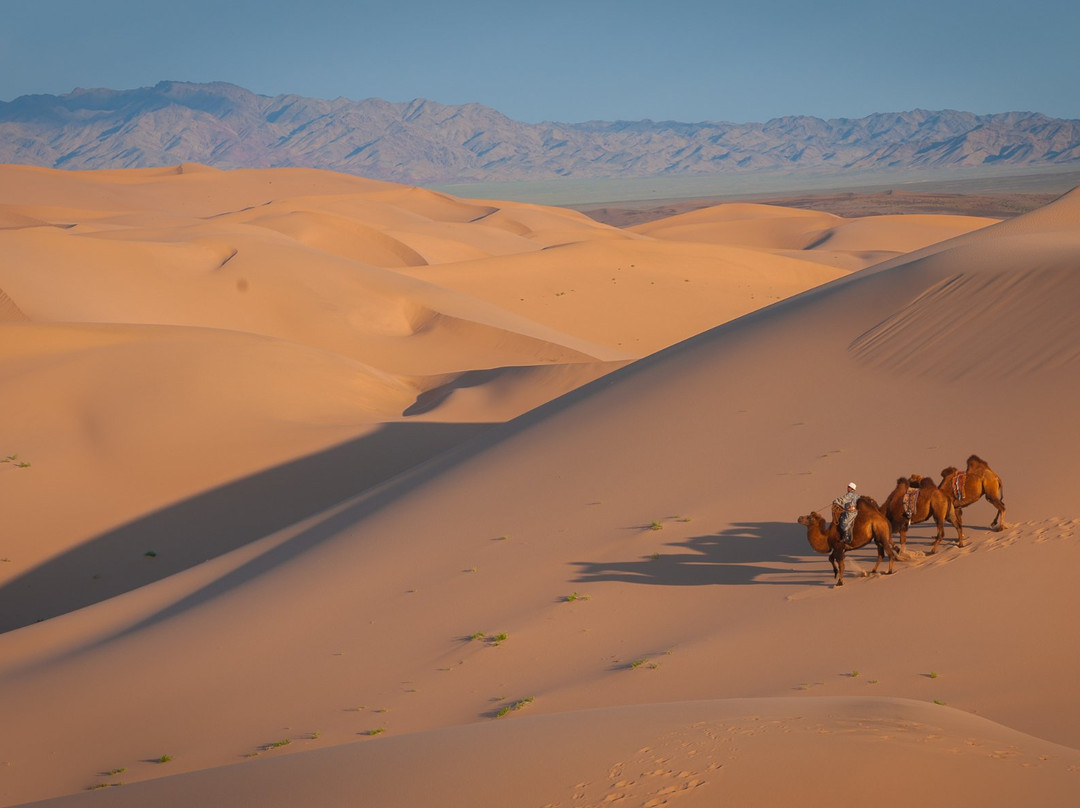 Nomadic Voyages
