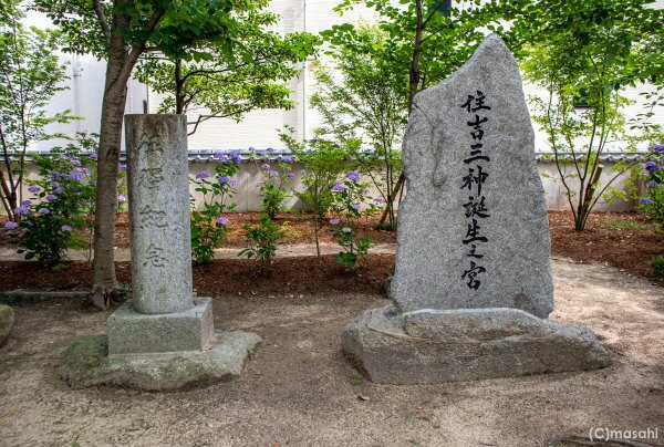 Arahito Shrine景点图片