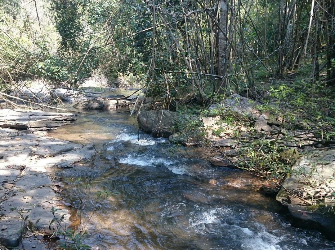 Chiangmai Elephant Sanctuary景点图片