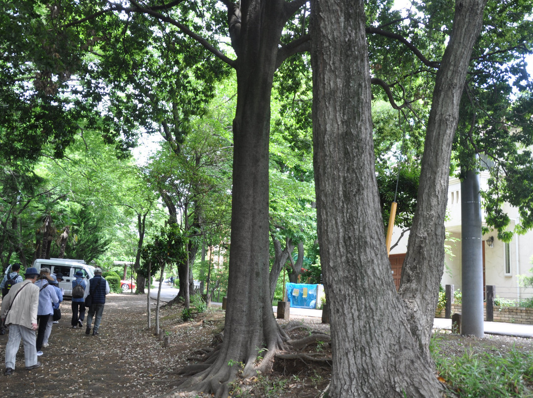 Shimizudera Park景点图片