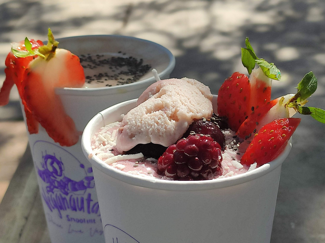 Veganautas Smoothie-Bar Lto