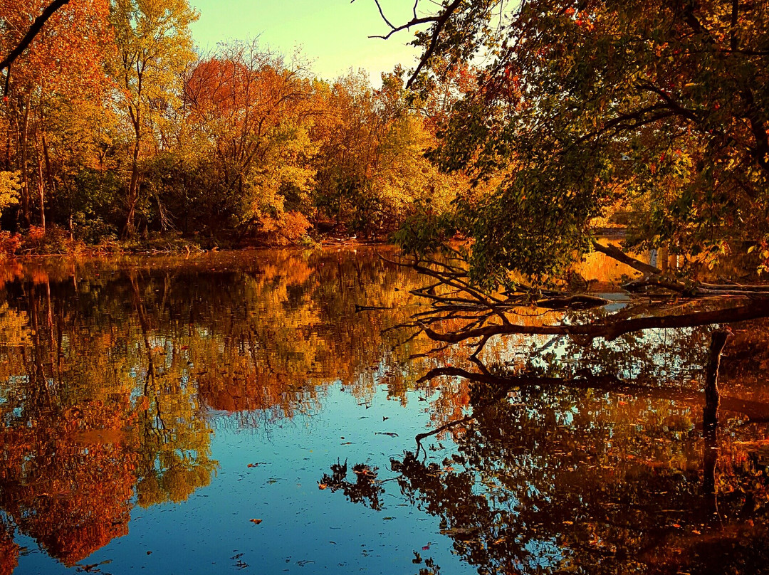 null-默弗里斯伯勒