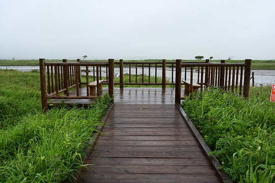 Kiritappu Wetland-滨中町必去景点