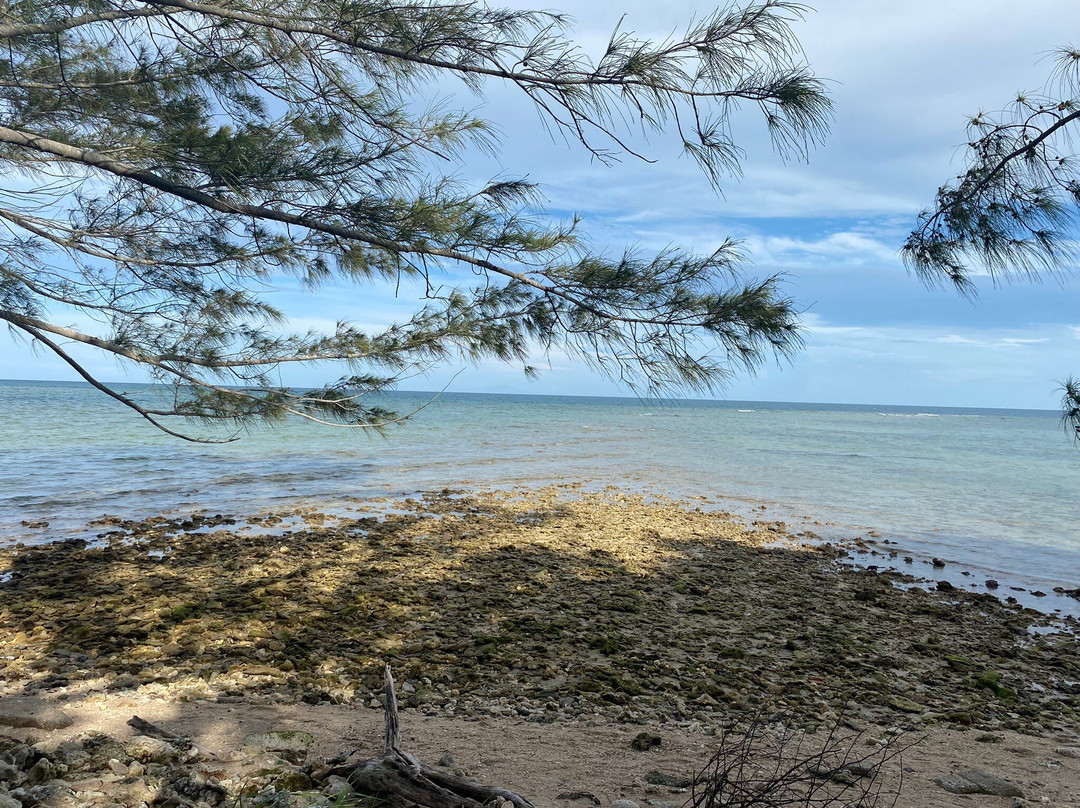Isla De Enmedio-Boca del Rio必去景点