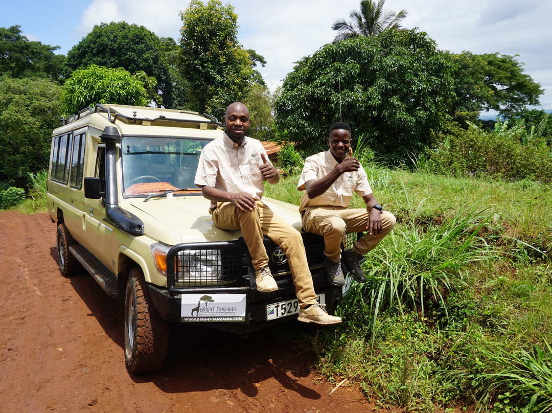 Bright Tanzania - Private climbing & Safari tours-莫西必去景点