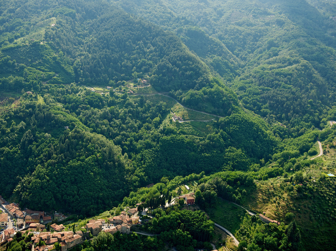 Pietrabuona旅游攻略图片