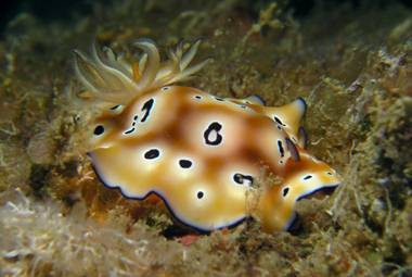 B&J Diving Centre-刁曼岛必去景点