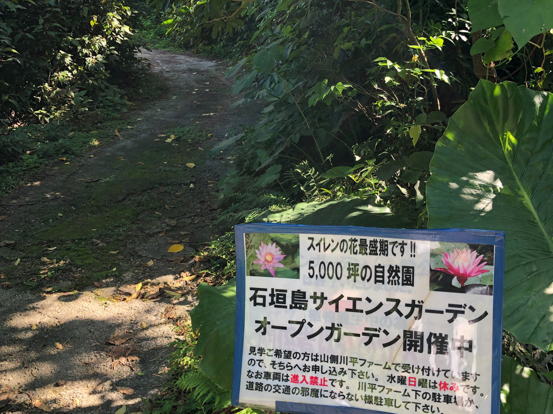 Ishigaki Island Science Garden景点图片
