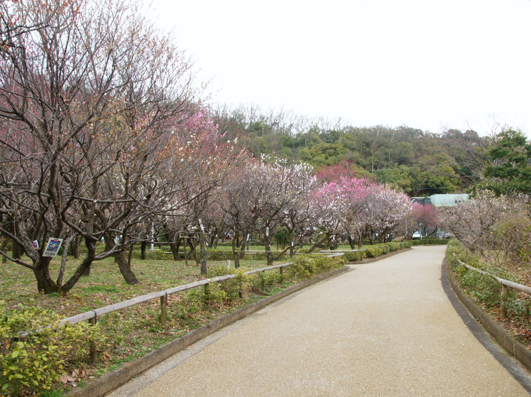 Bairin Park景点图片