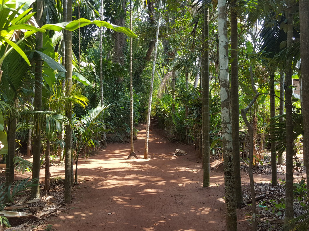Tropical Spice Plantation景点图片