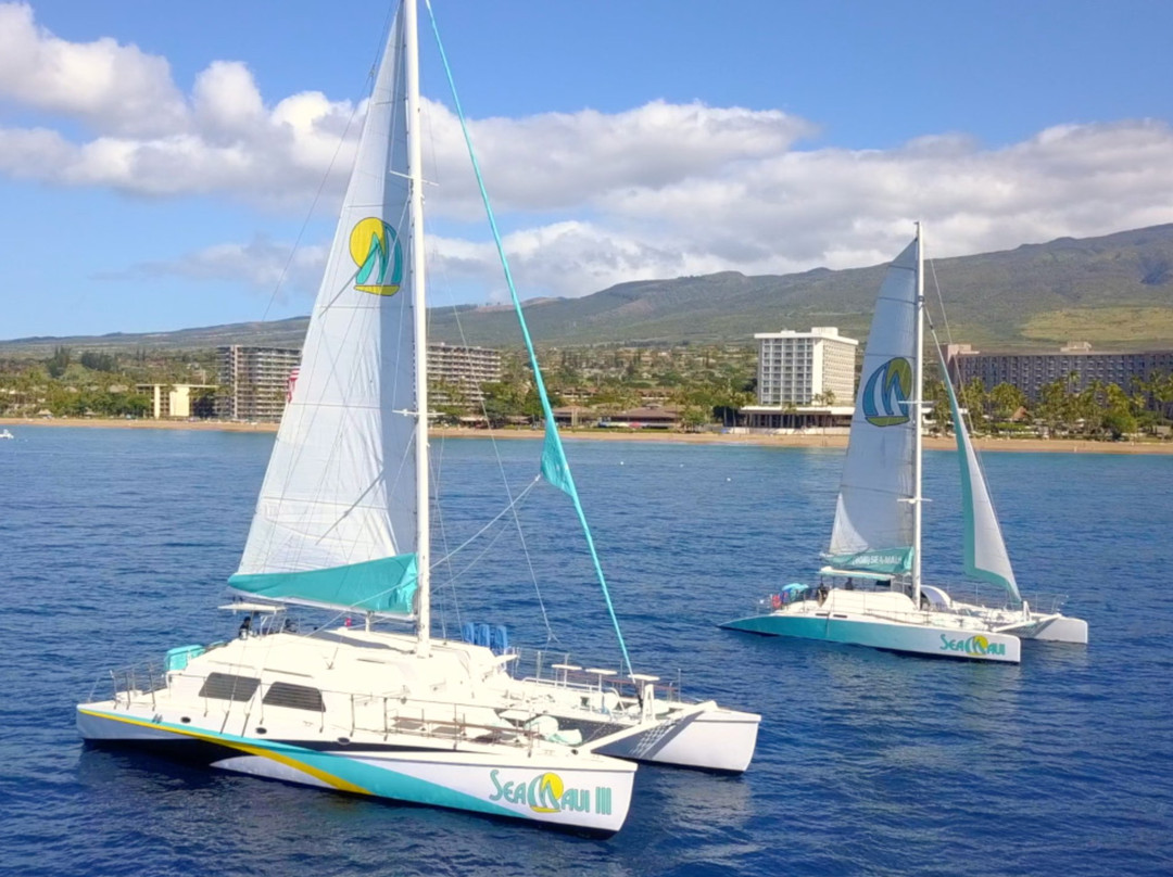 Sea Maui-拉海纳必去景点