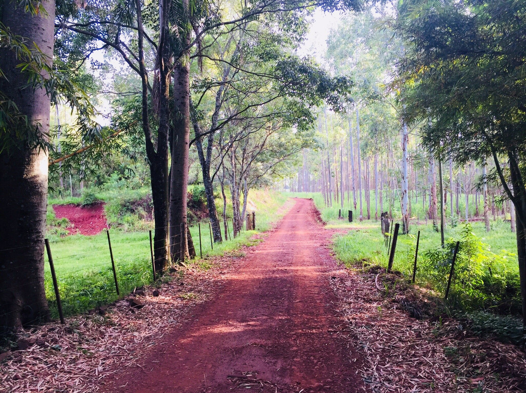 Serra Da Fazenda Imperial