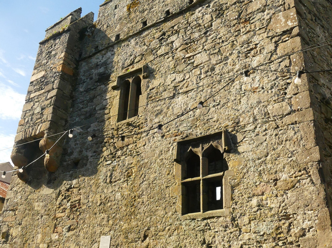 Taaffe's Castle, Carlingford, Co Louth.景点图片
