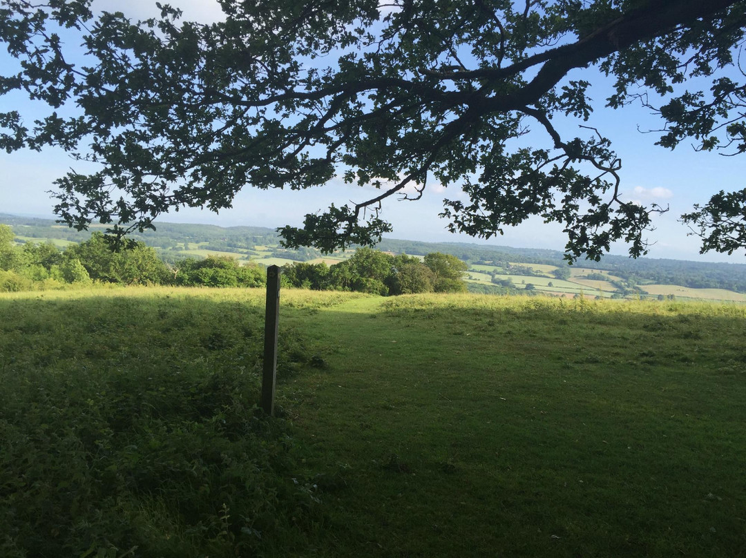 North Downs Way National Trail景点图片