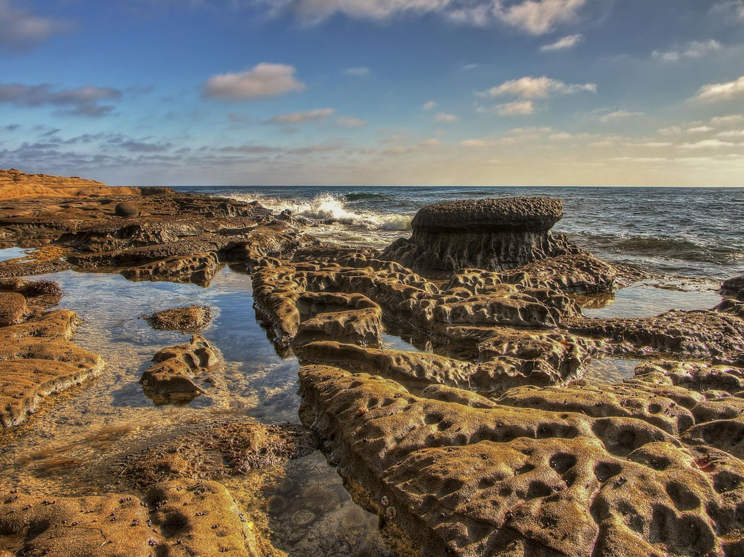 Mushroom Beach景点图片