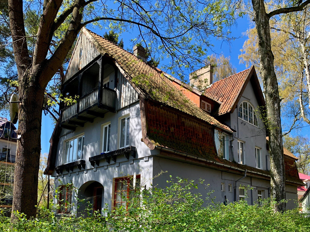 Villa Rosenhaus景点图片