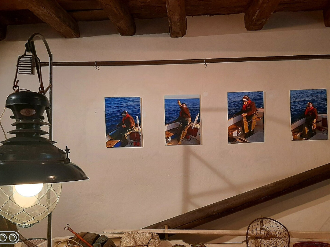 Museu De La Dona景点图片