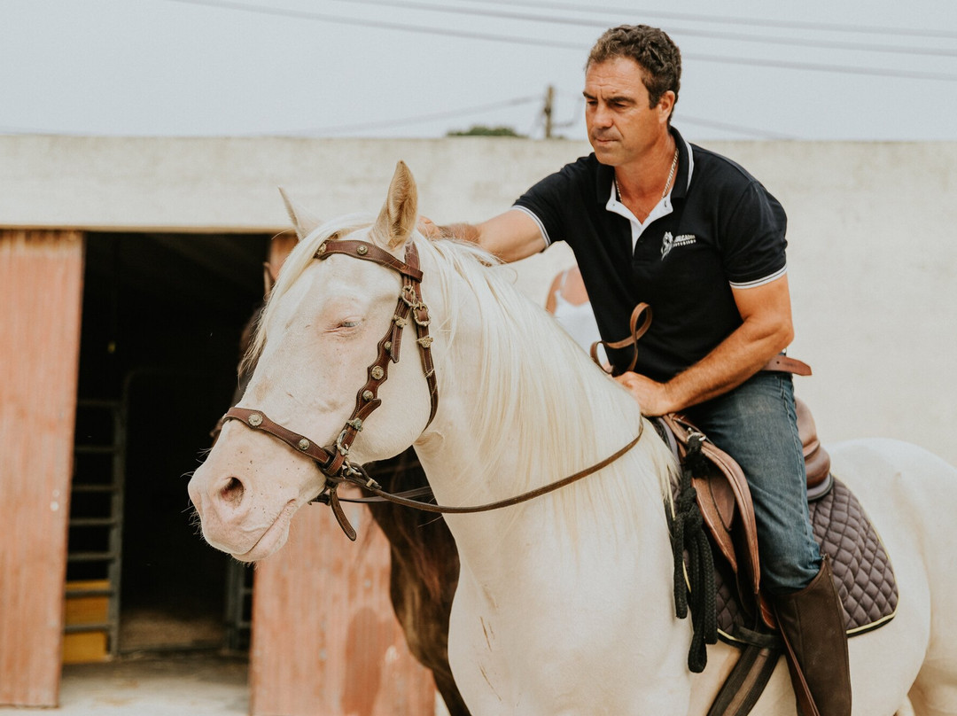 Eco Salgados Agroturismo-佩尼切必去景点