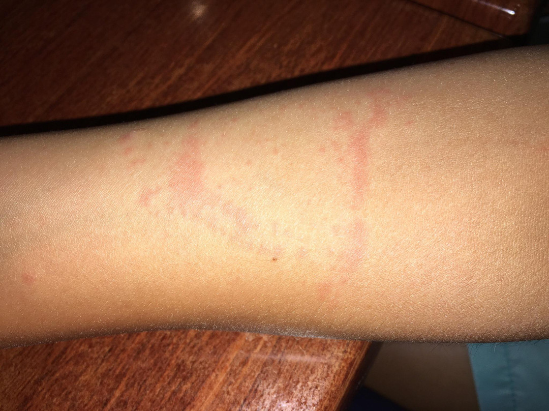 Aquatastic-巴瑟尔顿必去景点