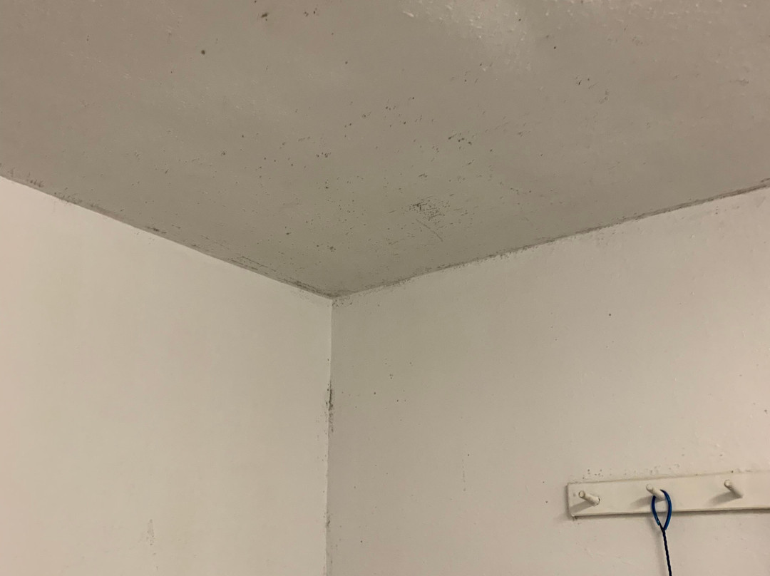 Symes Hot Springs Hotel主图