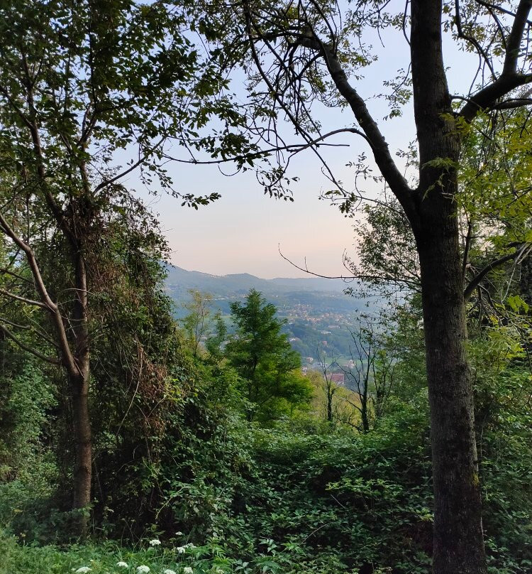 Parco Monte Barro-Galbiate必去景点