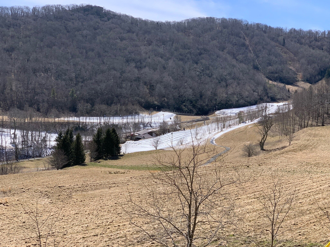 Hawksnest Snow Tubing and Zipline景点图片