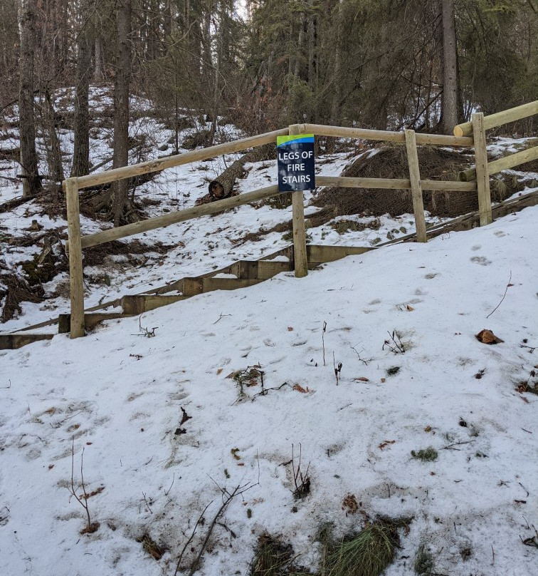 Devon Voyageur Park-德文郡必去景点