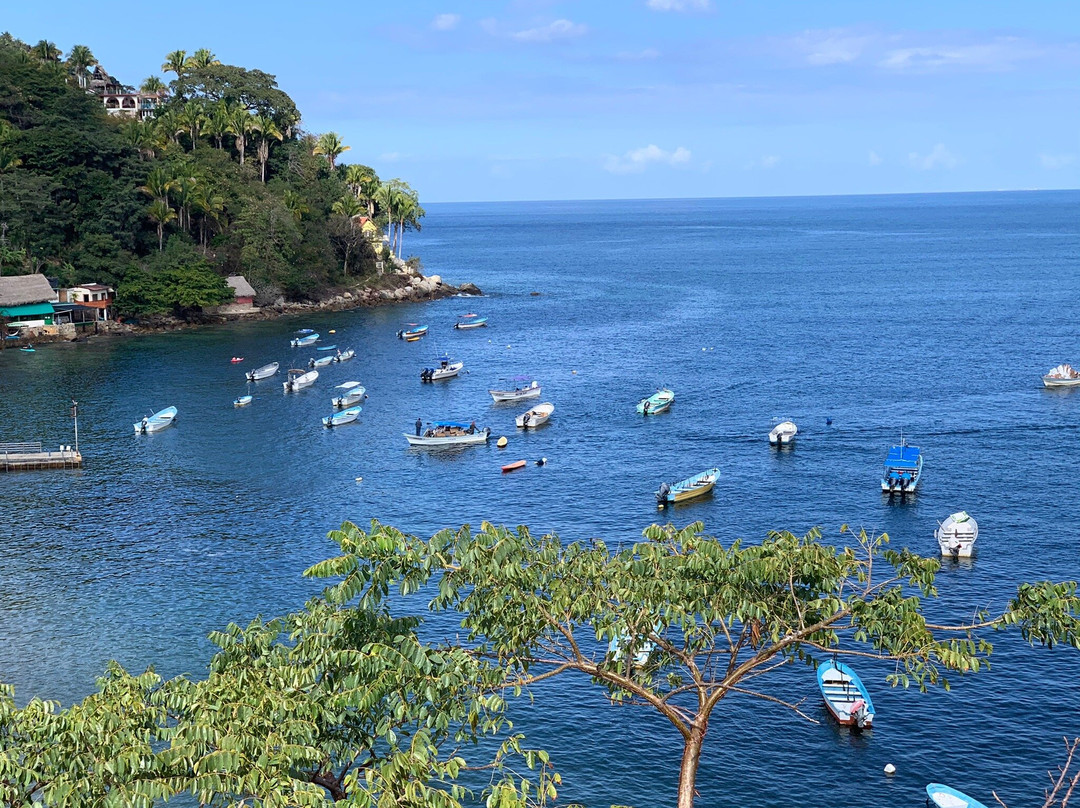 MiraMar Excursions-Yelapa必去景点