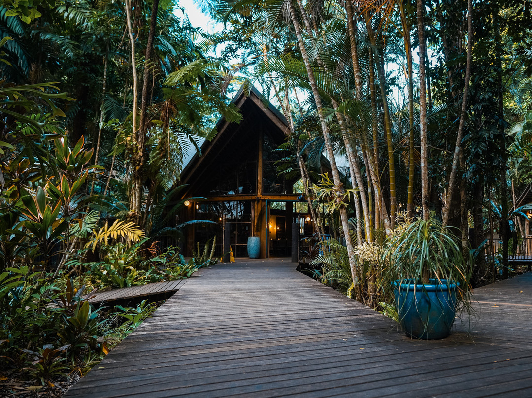Ayton餐馆和美食-The Cassowary Restaurant