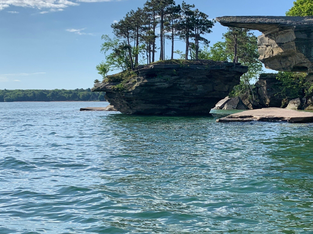 Port Austin Reef Light景点图片