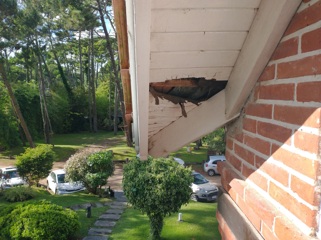 Posada del Bosque Carilo主图