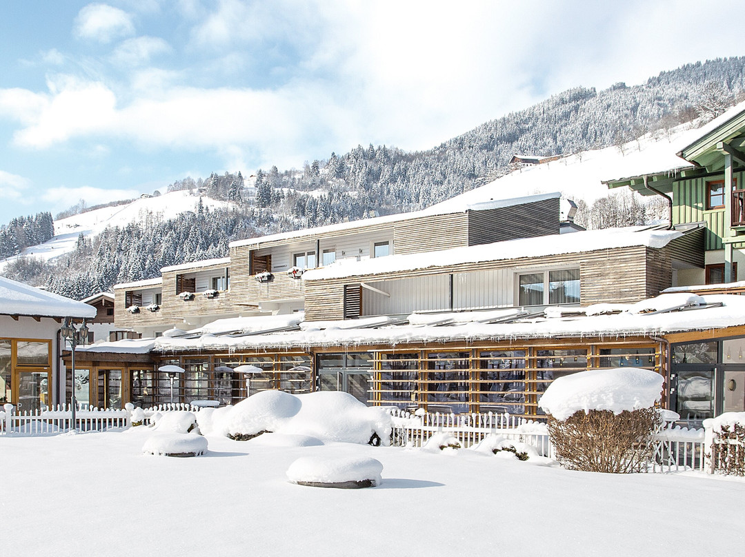 HAIDVOGL KINDERHOTEL Zell am See主图