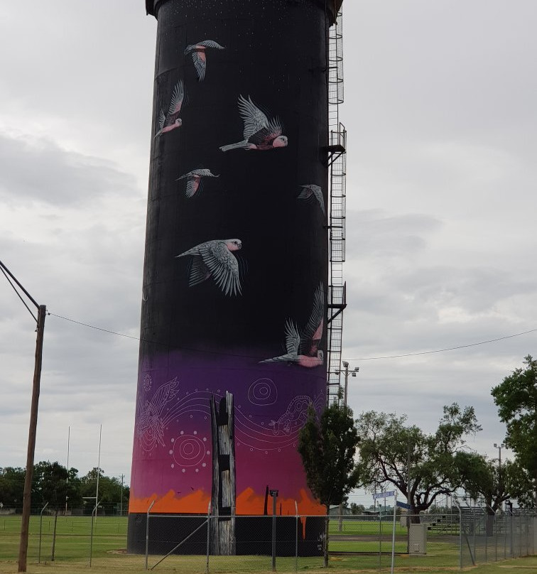Coonamble Water Tower-Coonamble必去景点