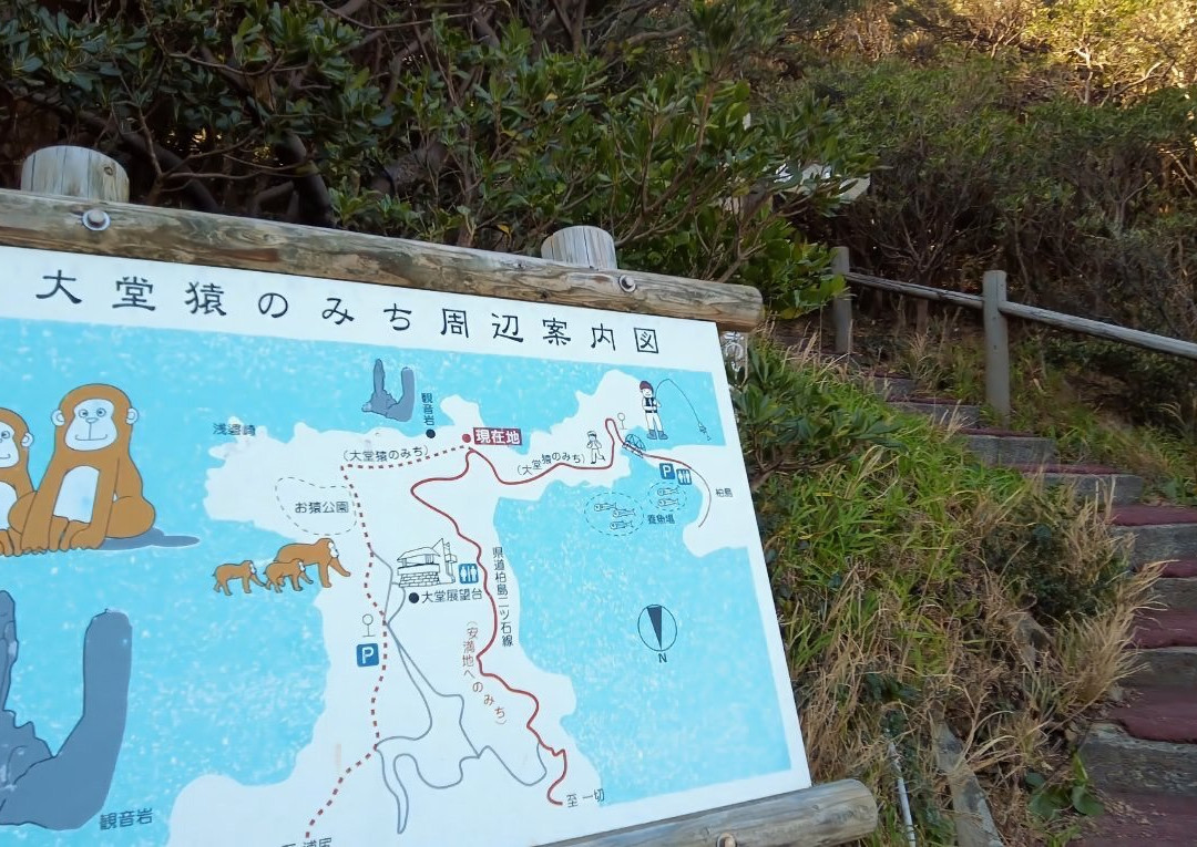 Odoyama Lookout-大月町必去景点