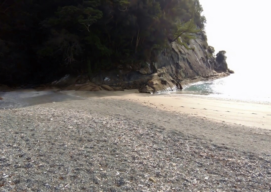 Tatsukushi Coast-土佐清水市必去景点