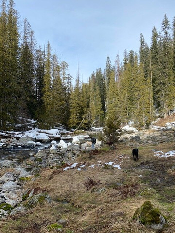 Jerry Johnson Hot Springs