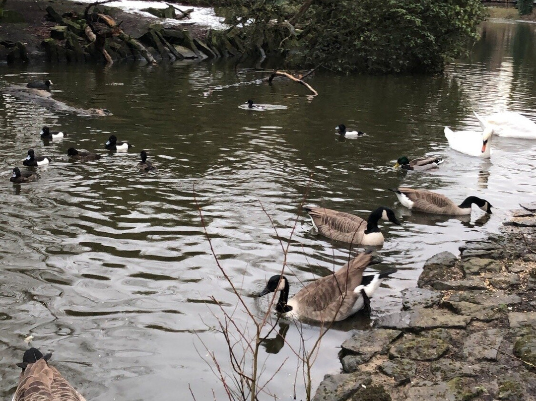 Alexandra Park-曼彻斯特必去景点