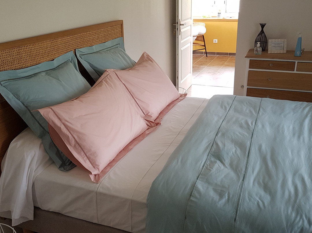 Relais de Navon主图