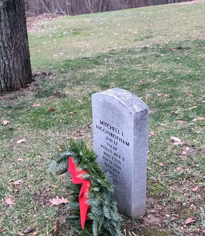 Tuskegee Airmen Memorial景点图片