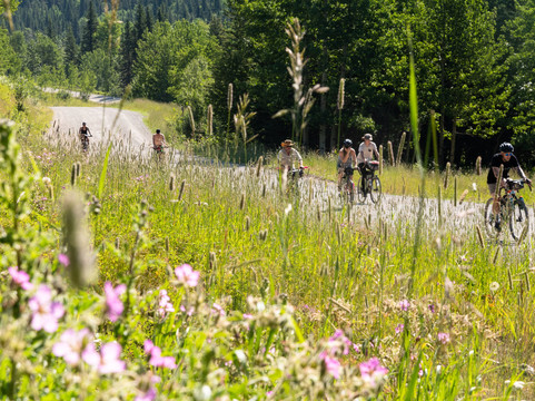 Wild Rose Adventures Bicycle Tours-卡尔加里必去景点