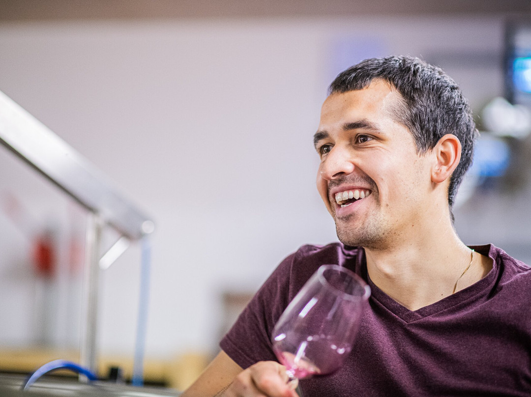 Kellerei Cantina Heiner.-博尔扎诺必去景点