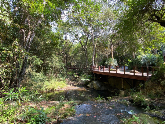 Serenity Mountain and Forest Lodge主图