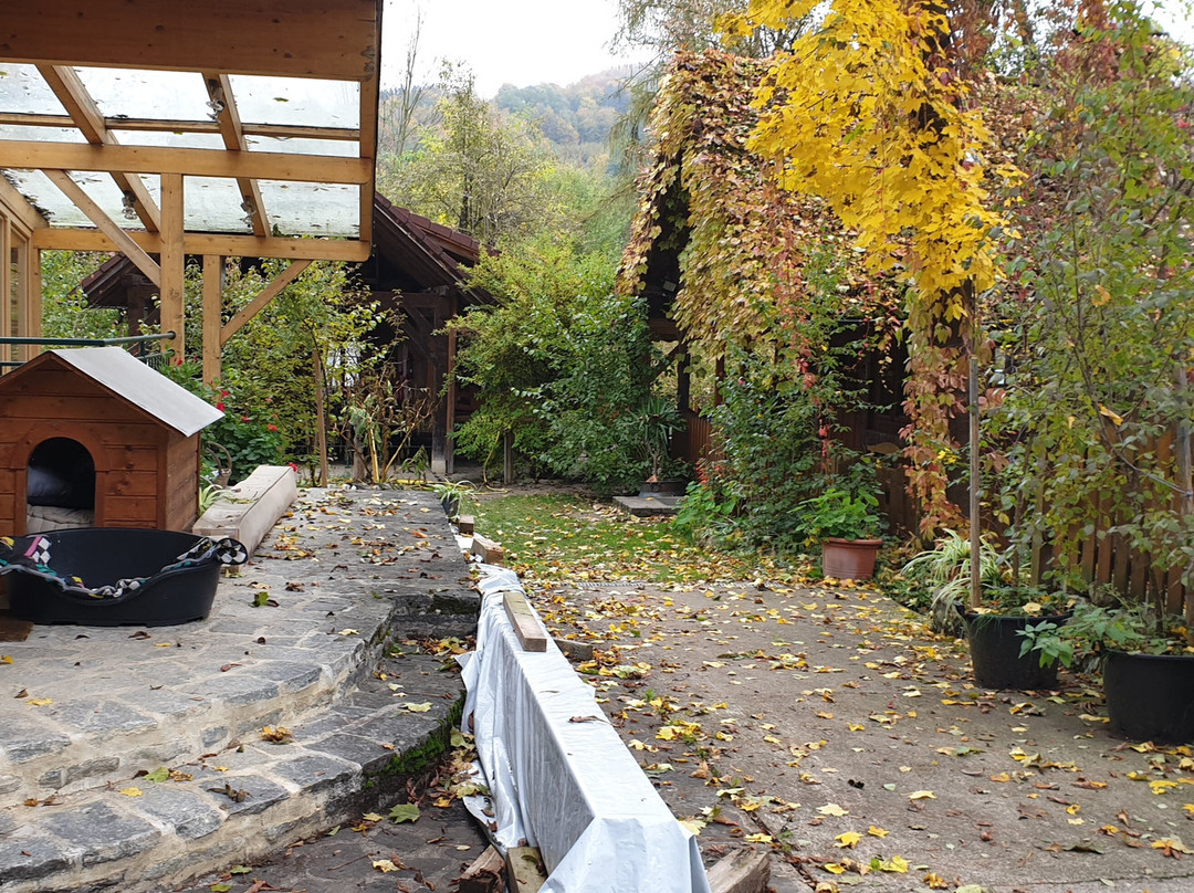 斯坦恩舒乐霍夫酒店主图