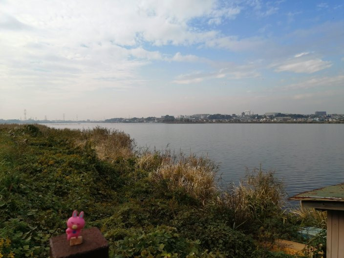 Michi-no-Eki Shonan-柏市必去景点