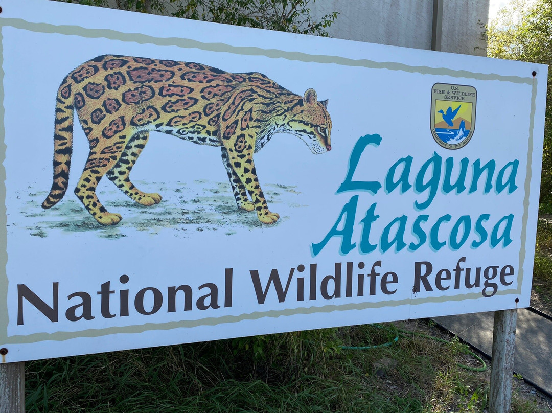 Laguna Atascosa National Wildlife Refuge景点图片