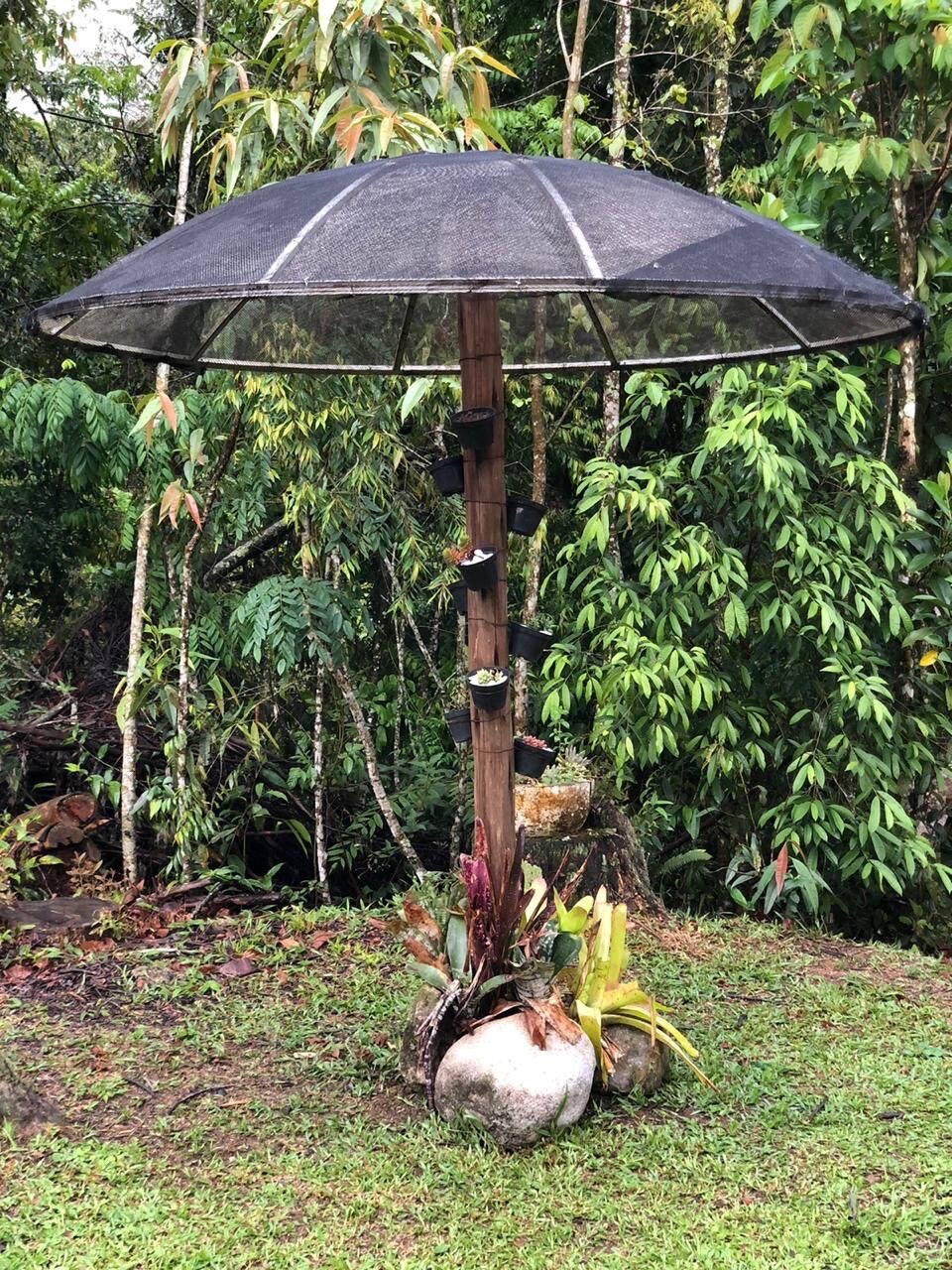 Pousada Fazenda Rio das Pedras-官方