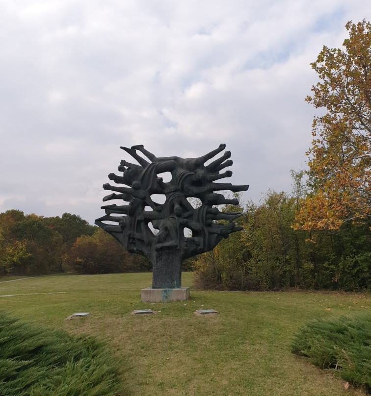 Memorial Park Sumarice景点图片