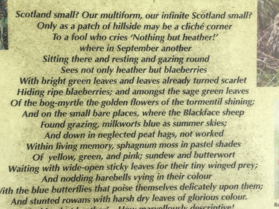 MacDiarmid Memorial-Langholm必去景点