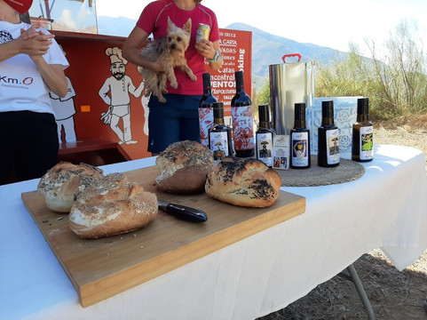 GOinsitu-格拉纳达必去景点