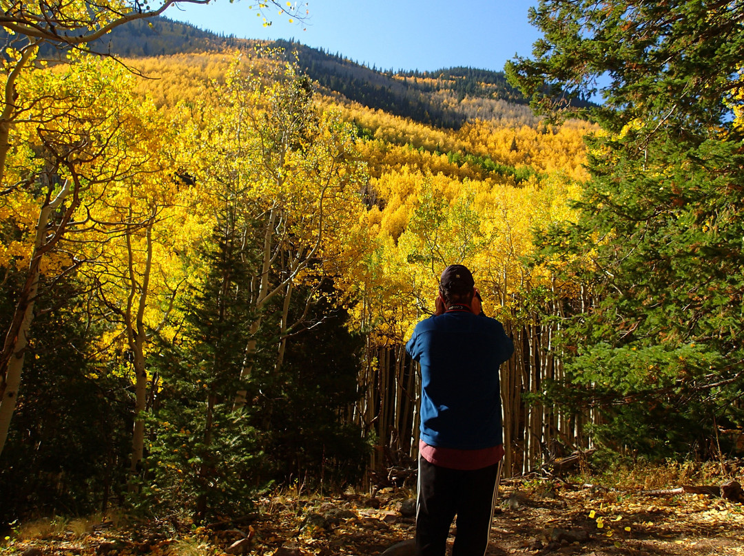 Lockett Meadow-弗拉格斯塔夫必去景点